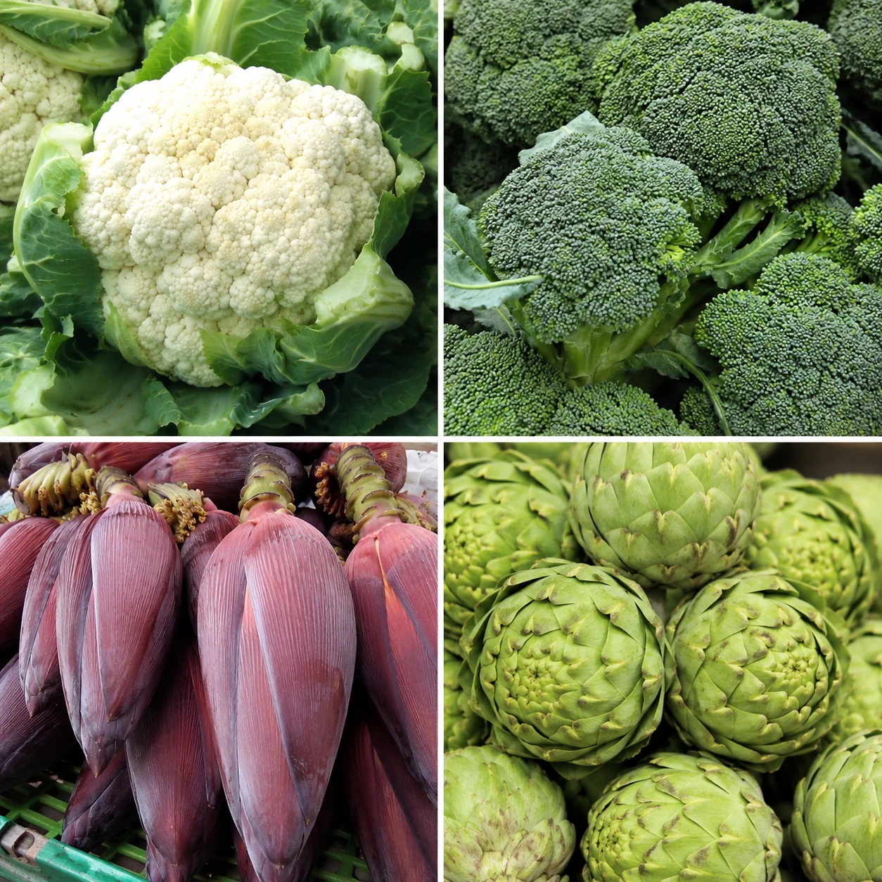 . Flower Vegetables